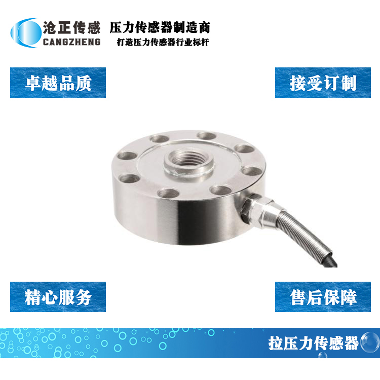 深圳滄正輪輻式壓力傳感器CAZF-LY88