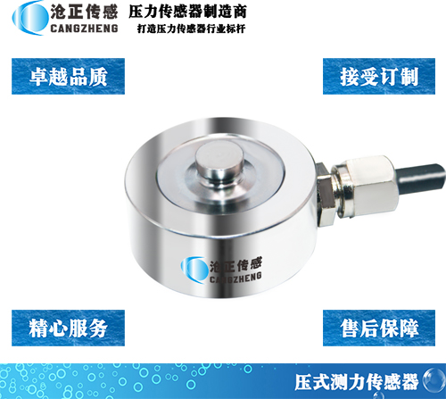 <font color='#FF0000'>CAZF-Y20微型壓力傳感器</font>